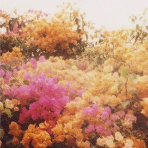 Meet your Posher, Lila